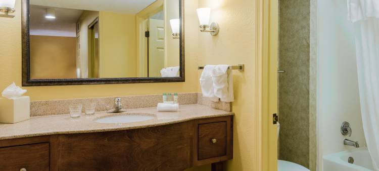 夏洛特大学欢朋酒店(Hampton Inn Charlotte-University Place)图片