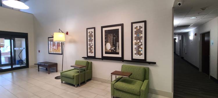 洲际酒店集团智选假日酒店 - 纽顿福尔斯(Holiday Inn Express Lordstown-Newton Falls/Warren)图片