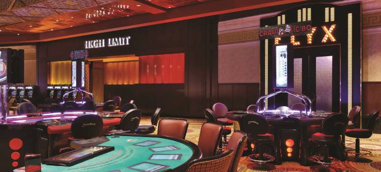 凯撒温莎酒店-凯撒奖励计划目的地(Caesars Windsor- A Caesars Rewards Destination)图片