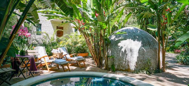 艾莫莫克特里酒店(Amomoxtli)图片