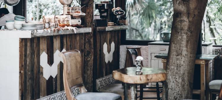 卡曼海滩塞米拉酒店 - 设计酒店会员 - 限成人(Hotel la Semilla a Member of Design Hotels)图片