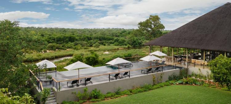 Leopard Sands, Kruger Park图片