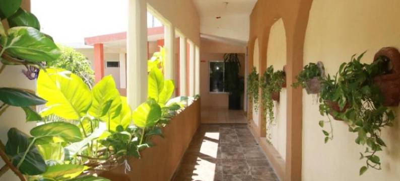 翠景酒店(Hotel Vista Verde)图片