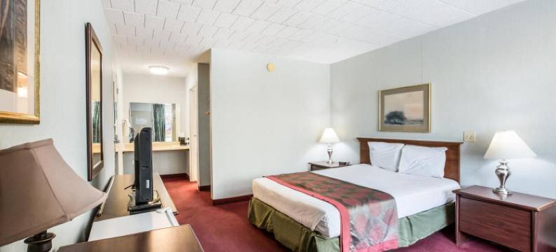 黑泽尔顿红地毯酒店(Red Carpet Inn & Suites)图片