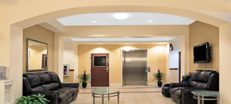 奥斯汀-机场南速8酒店(Super 8 by Wyndham Austin/Airport South)图片