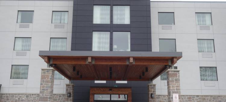 贝勒维尔丽怡酒店(Country Inn & Suites by Radisson, Belleville, on)图片