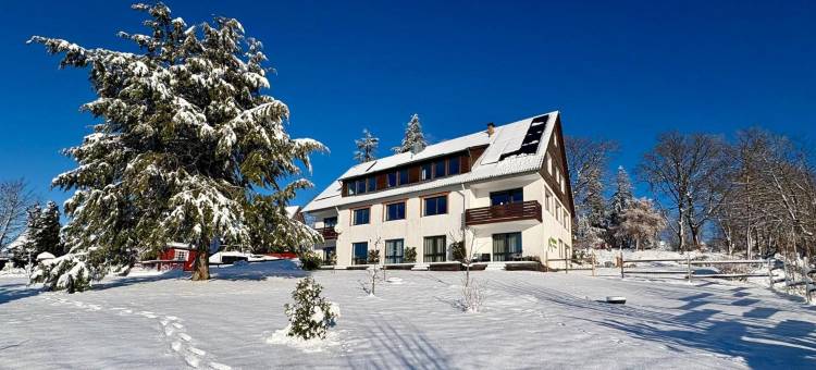 Berghotel Hohegeiß酒店(Berghotel Hohegeiß)图片