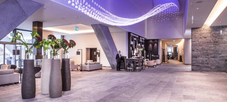 塔沃阿尔卑斯金酒店(AlpenGold Davos)图片