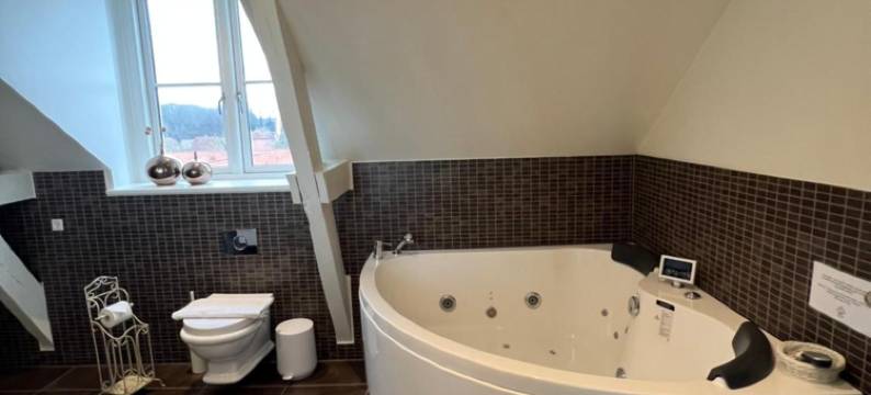 班霍尔姆海滨酒店(Bandholm Badehotel)图片