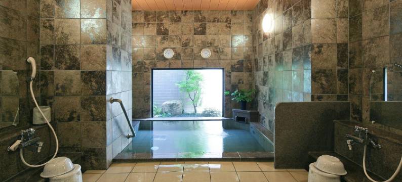 露樱酒店 驹根交流道口店(HOTEL ROUTE-INN KOMAGANE INTER)图片