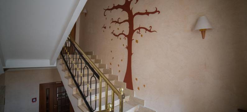 辛比克斯克酒店(Simbirsk Hotel)图片