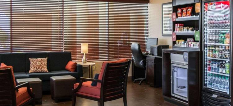 克利尔沃特-但尼丁舒适套房酒店(Comfort Suites Clearwater - Dunedin)图片