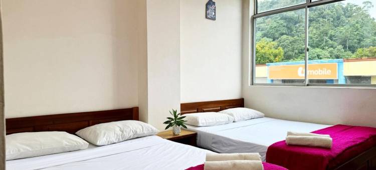 城市旅馆(Town Inn Hotel - Rainforest)图片