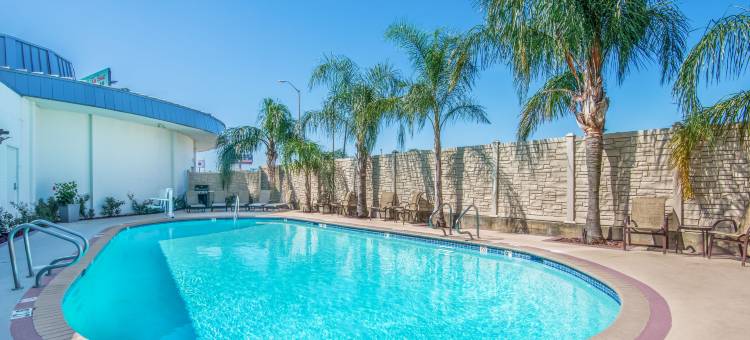 Holiday Inn 新奥尔良西岸大厦(Holiday Inn New Orleans West Bank Tower)图片