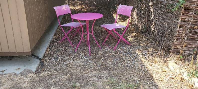 布彻阿姆斯弗瑞豪斯酒店(The Butchers Arms Freehouse)图片