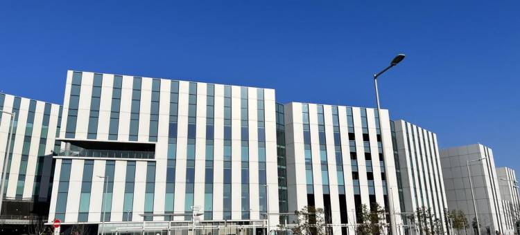 东横INN羽田机场2(Toyoko Inn Tokyo Haneda Airport No.2)图片