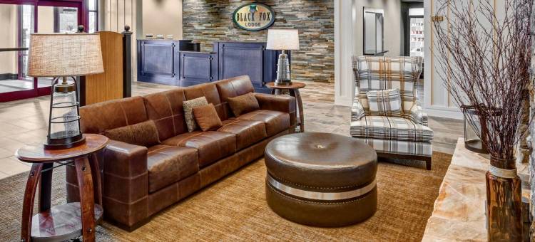 鸽子谷黑狐酒店，希尔顿启缤精选(Black Fox Lodge Pigeon Forge, Tapestry Collection by Hilton)图片