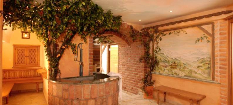 巴哈麦耶霍夫酒店(All Inclusive Hotel Bachmayerhof)图片