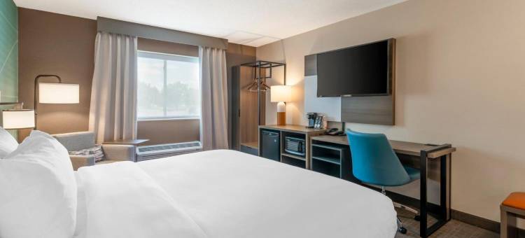 舒适酒店及套房-萨拉托加斯普林斯(Comfort Inn & Suites Saratoga Springs)图片