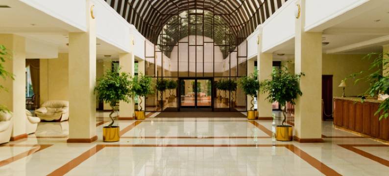 辛迪卡温泉酒店(Sindika Spa-Hotel)图片