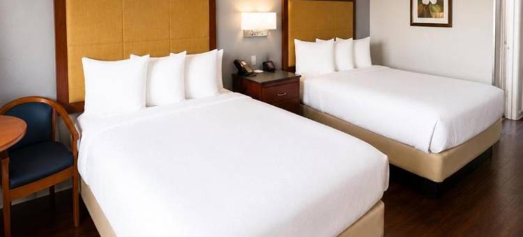 常青旅馆(Evergreen Inn)图片