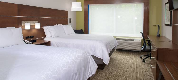 金乔治达尔格伦智选假日套房酒店(Holiday Inn Express & Suites King George - Dahlgren)图片