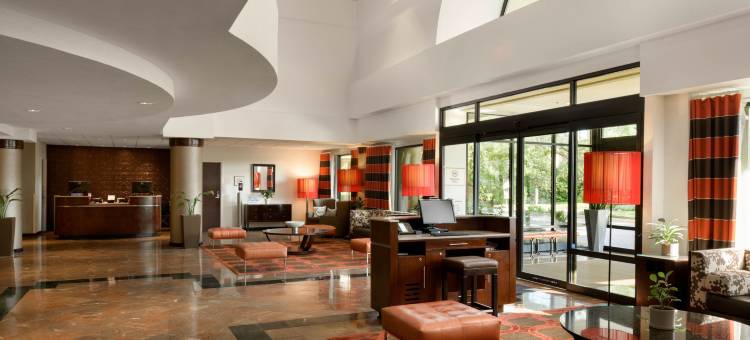 奥兰多机场喜来登套房酒店(Sheraton Suites Orlando Airport)图片