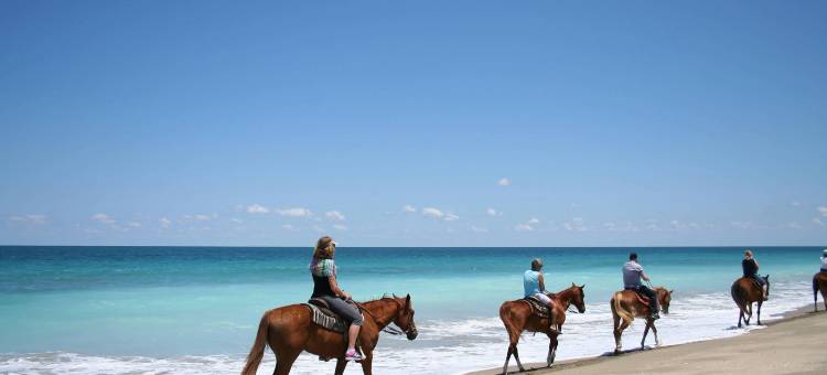 Fairfield Inn & Suites Fort Pierce图片