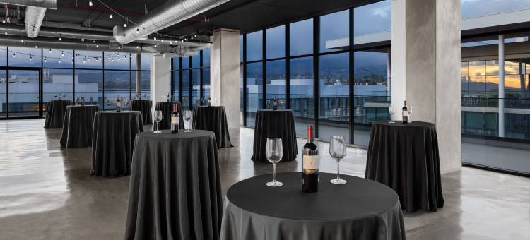 AC旧金山荷塞机场贝伦酒店(AC Hotel San Jose Airport Belen)图片