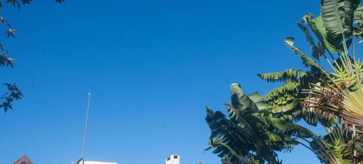 布兰卡之家旅馆(Casa Branca Pousada)图片