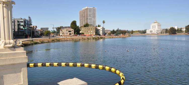 奥克兰梅里特湖美洲最佳价值酒店(Americas Best Value Inn Oakland)图片