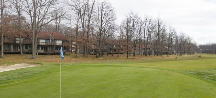 银木皇冠度假村(Crown Resorts at Silverwoods)图片