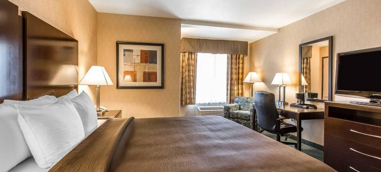 科尔顿舒适套房酒店(Comfort Inn & Suites)图片