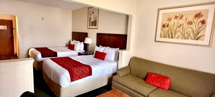 丹佛国际机场华美达酒店(Ramada by Wyndham Denver International Airport)图片