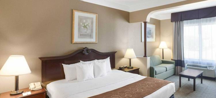 普莱恩维尤舒适套房酒店(Comfort Suites Plainview)图片