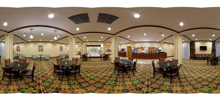 智选假日套房酒店棕榈湾(Holiday Inn Express & Suites Palm Bay)图片
