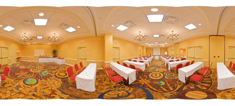 尚迪利杜勒斯世博机场假日酒店(Holiday Inn Chantilly-Dulles Expo (Arpt))图片