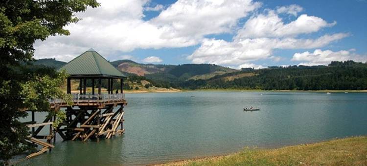 波特兰希尔斯伯勒SpringHill Suites 酒店(SpringHill Suites Portland Hillsboro)图片