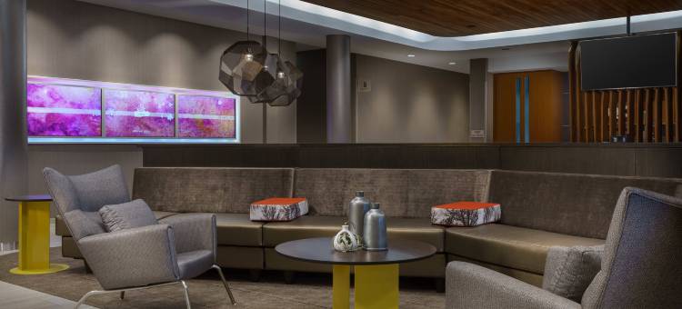 费城西切斯特埃克东万豪SpringHill Suites酒店(SpringHill Suites Philadelphia West Chester/Exton)图片