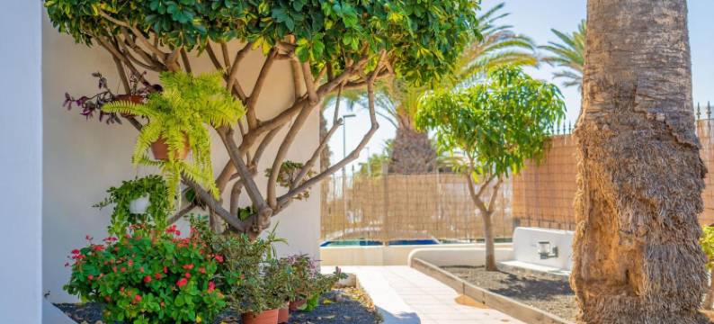 罗伯士岛成人公寓(Apartamentos Isla de Lobos - Adults Only)图片