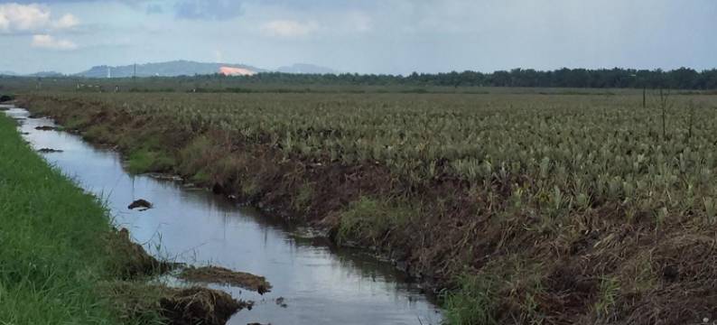 奥依科斯酒店(The Oikos Hotel)图片