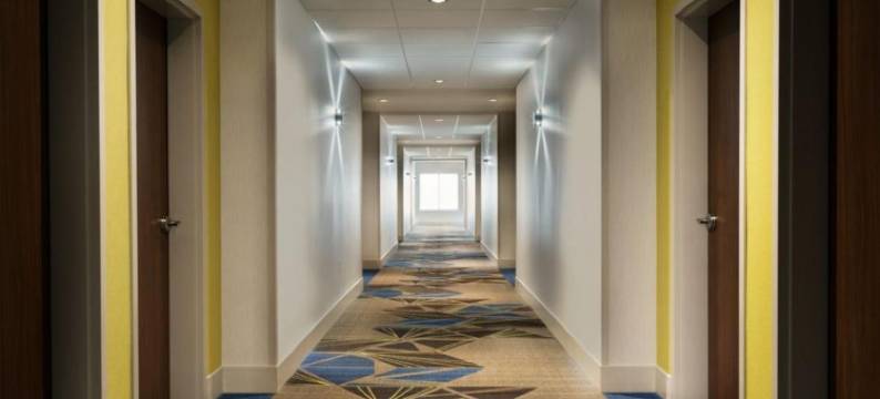 科科莫南部洲际智选假日套房酒店(Holiday Inn Express & Suites KOKOMO SOUTH by IHG)图片