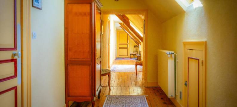 弗朗克伊磨坊酒店(Le Moulin de Francueil)图片