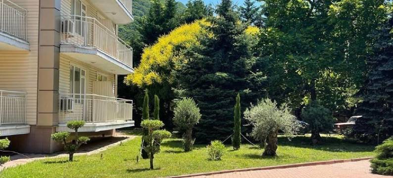 Ola Resort Hotel图片