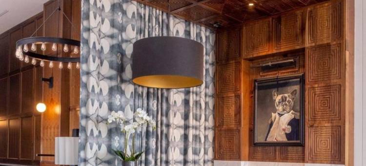路易斯酒店(The Louis Hotel)图片