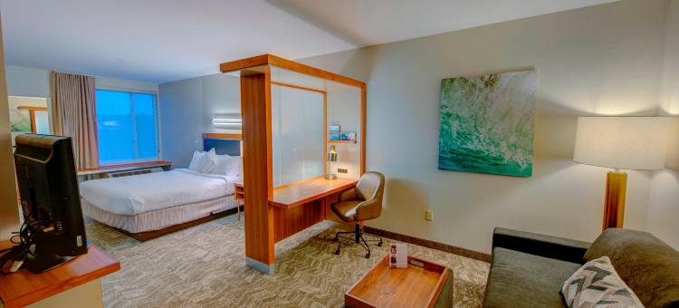 SpringHill Suites Macon图片