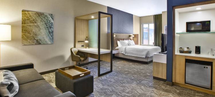 匹兹堡巴特勒中城SpringHill Suites酒店(SpringHill Suites Pittsburgh Butler/Centre City)图片