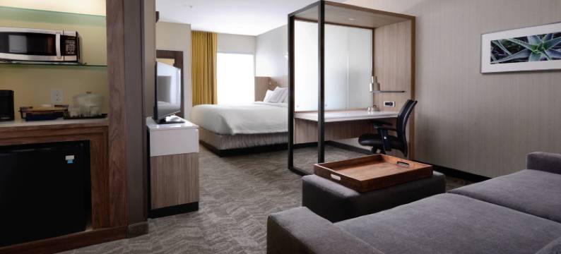 圣安东尼奥西北里姆SpringHill Suites酒店(SpringHill Suites San Antonio Northwest at the Rim)图片