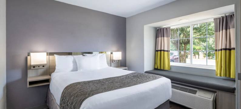 邓肯-斯帕坦堡麦客达套房酒店(Microtel Inn & Suites by Wyndham Duncan/Spartanburg)图片