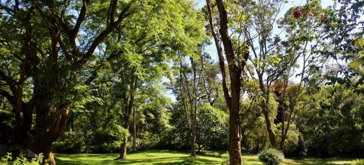 有一个可爱花园的2卧室的房子 - 2177(2 Bedroomed House with a Lovely Garden - 2177)图片